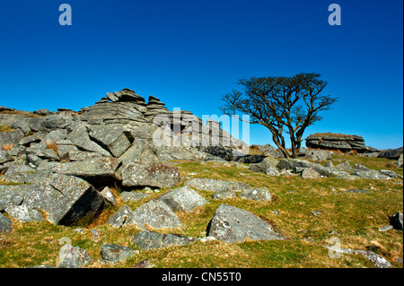 Kings Tor sur la bordure ouest de la Parc National de Dartmoor dans le Devon. Il a un certain nombre de carrières désaffectées situé autour du bord Banque D'Images