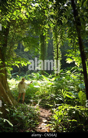 Photographies d'une femme la jungle scène sur Koh Yao Noi, l'une des îles de la Thaïlande. Banque D'Images