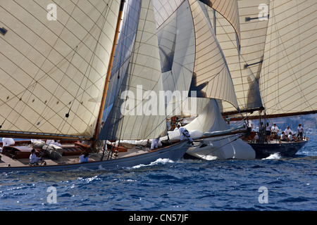 Principauté de Monaco, Monaco Classic Week 2009, centenaire de Tuiga (amiral de voile Yacht Club de Monaco) Banque D'Images