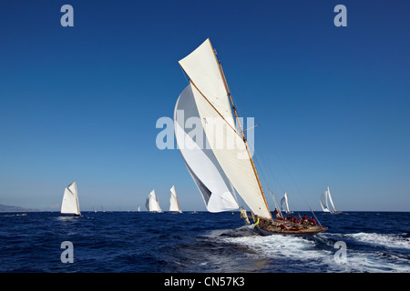 Principauté de Monaco, Monaco Classic Week 2009, centenaire de Tuiga (amiral de voile Yacht Club de Monaco), Tuiga (1909) Banque D'Images