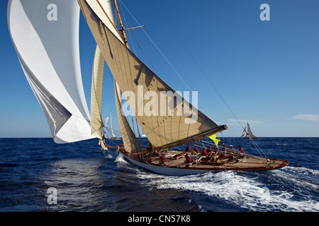 Principauté de Monaco, Monaco Classic Week 2009, centenaire de Tuiga (amiral de voile Yacht Club de Monaco), Tuiga (1909) Banque D'Images