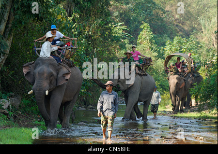 Laos, Sainyabuli Province, Thanoon, Nam Thap River, trek à dos d'éléphant dans la région de palanquins, caravane le long de la rivière dans le lit Banque D'Images