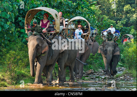 Laos, Sainyabuli Province, Thanoon, Nam Thap, rivière, randonnée à dos d'éléphant dans la région de palanquins, caravane le long de la rivière dans le lit Banque D'Images