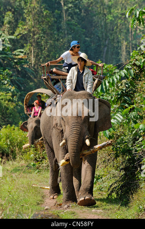 Laos, Sainyabuli Province, Thanoon, Nam Thap River, caravane d'éléphants et leurs passagers sur un palanquin sur une rivière Banque D'Images