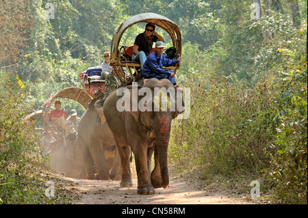 Laos, Sainyabuli Province, Hongsa, trek sur les éléphants formant une colonne dans un bois Banque D'Images