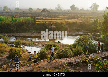 Laos, Sainyabuli Province, Ban Nam Thap, groupe d'enfants sur les bicyclettes en passant un pont en arrière-plan avec un éléphant Banque D'Images