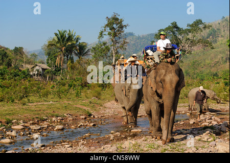 Laos, Sainyabuli Province, Thanoon Nam Thap River, caravane d'éléphants et leurs passagers sur un palanquin sur une rivière Banque D'Images