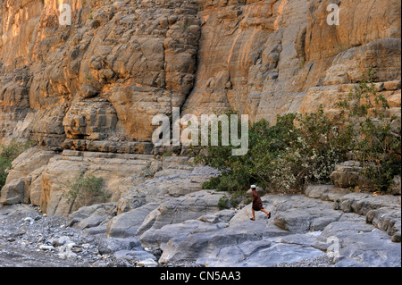 Sultanat d'Oman, Al Dakhiliyah, région des monts Hajar Occidental, Wadi Nakhr, le grand canyon Banque D'Images