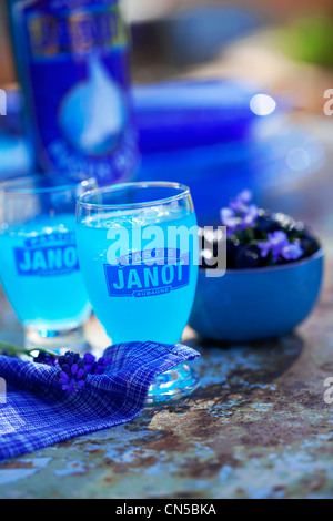 France, Bouches du Rhône, un apéritif en Provence avec le Pastis bleu Janot (typique de l'alcool à l'anis, ici en couleur Banque D'Images