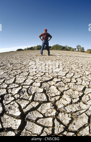 Fermier sur les terres touchées par la sécheresse, la vallée de la rivière Rouge, Manitoba Banque D'Images