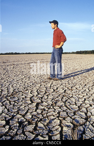 Fermier sur les terres touchées par la sécheresse, la vallée de la rivière Rouge, Manitoba Banque D'Images