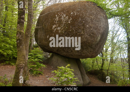 La France, Finistère, Parc Naturel Régional d'Armorique (Parc Naturel Régional d'Armorique), Monts d'Arrée, Huelgoat, le chaos de giant Banque D'Images