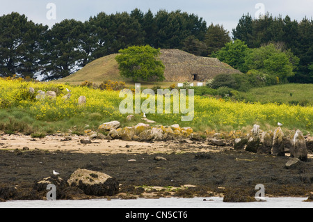 France, Morbihan, Golfe du Morbihan, larmor baden, cairn de Gavrinis, île dont il y a 50 siècles sculpté dalles représentent un Banque D'Images