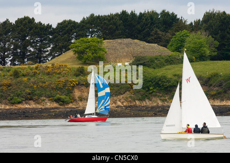 France, Morbihan, Golfe du Morbihan, larmor baden, cairn de Gavrinis, île dont il y a 50 siècles sculpté dalles représentent un Banque D'Images