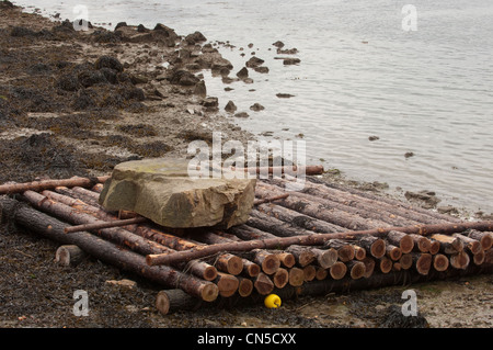 France, Morbihan, Golfe du Morbihan, larmor baden, l'expérience de radeau flottant sur l'île de Gavrinis, de comprendre comment dalles énormes Banque D'Images