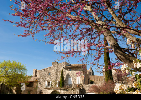 France, Drôme, Drôme Provençale, La Garde Adhémar, étiqueté Les Plus Beaux Villages de France (Les Plus Beaux Villages de Banque D'Images