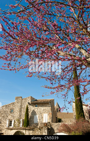 France, Drôme, Drôme Provençale, La Garde Adhémar, étiqueté Les Plus Beaux Villages de France (Les Plus Beaux Villages de Banque D'Images