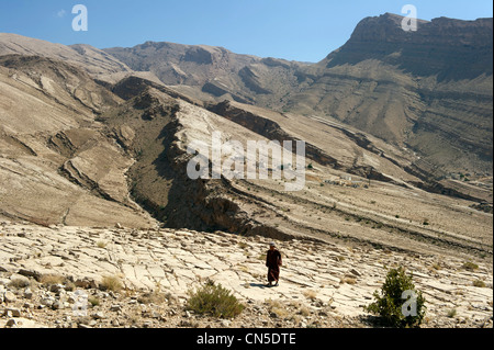 Sultanat d'Oman, région Ivry, Wadi Bani Khalid Banque D'Images