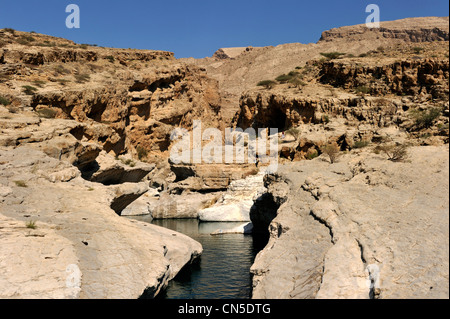 Sultanat d'Oman, région Ivry, Wadi Bani Khalid Banque D'Images