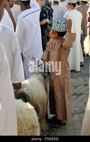 Sultanat d'Oman, Al Dakhiliyah, région des monts Hajar Occidental, Nizwa, vendredi marché de bétail Banque D'Images