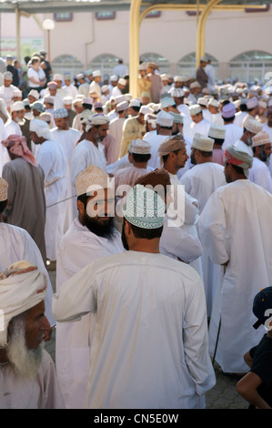 Sultanat d'Oman, Al Dakhiliyah, région des monts Hajar Occidental, Nizwa, vendredi marché de bétail Banque D'Images