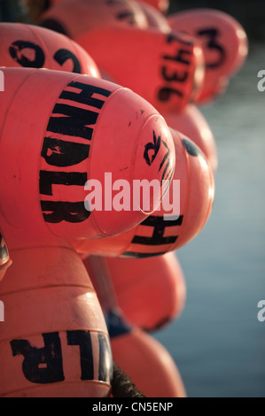 Sac couleur flotte sur la pêche au hareng rogué adjudication de Sitka, Alaska, USA Banque D'Images