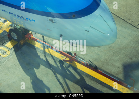 France, Bouches du Rhône, Marignane, l'aéroport Marseille Provence, compagnie aérienne KLM Banque D'Images