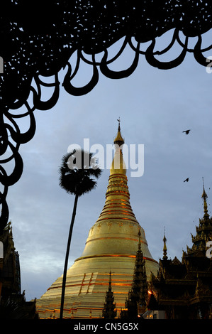 Myanmar (Birmanie), Division de Yangon, Yangon, Shwedagon Pagoda, datée entre 6ème et 10ème siècle Banque D'Images