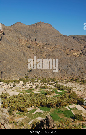 Sultanat d'Oman, Al Batinah Région, l'ouest des montagnes Hajar, Wadi Bani Awf, Hatt village, champs et plantations de palmiers Banque D'Images