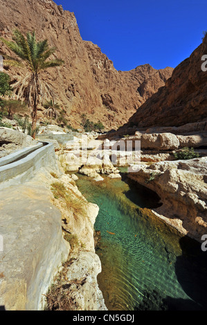 Sultanat d'Oman, région Ivry, Wadi Shab, version moderne de l'ancien système d'irrigation falaj, longeant Banque D'Images