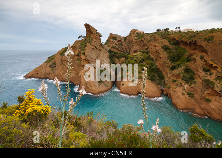 France, Bouches du Rhône, La Ciotat, Cap de l'Aigle, calanque de Figuerolles, formation de roche sédimentaire appelée pudding stone Banque D'Images