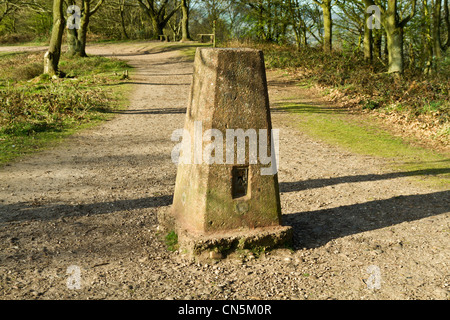 Vieux trig point sur Kinver Edge Banque D'Images