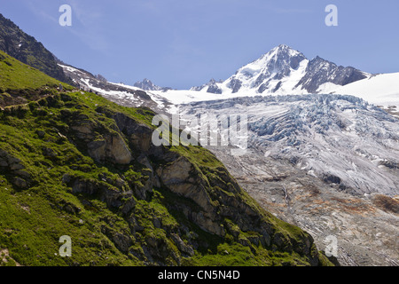 France, Haute Savoie, Chamonix Mont Blanc, fait de la randonnée dans la direction de l'Albert 1er refuge et du glacier du Tour Banque D'Images