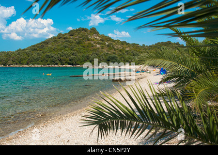 Plage Près de Vrila camping dans la partie sud de Orebic, Croatie Banque D'Images