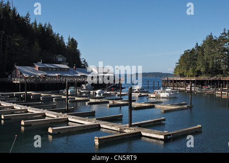 Le Canada, la Colombie-Britannique, côte nord-ouest de l'île de Vancouver, Telegraph Cove, sur le bord du détroit de Johnstone Banque D'Images