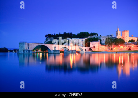 Rhône Pont St Bénézet Avignon Vaucluse Provence Alpes Cote d Azur France Banque D'Images