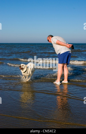 L'exercice de la famille chien sur la plage Banque D'Images