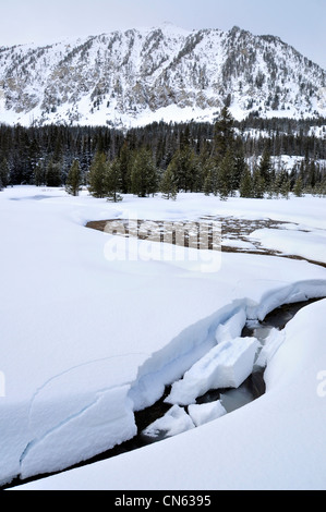 Stream et au printemps dans les montagnes de l'Oregon Wallowa. Banque D'Images