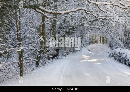 Scène de neige, Surrey, Angleterre Banque D'Images