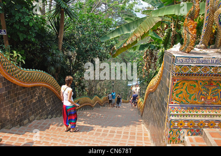 Escaliers de Wat Phrathat Doi Suthep temple bouddhiste, Doi Suthep, Chiang Mai, la province de Chiang Mai, Thaïlande Banque D'Images