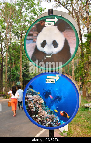 Les panneaux pour boîtier panda et aquarium, zoo de Chiang Mai, Chiang Mai, la province de Chiang Mai, Thaïlande Banque D'Images