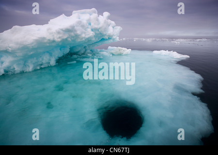 La Norvège, Svalbard, Storfjorden, Fjord en fonte trou iceberg flottant sur soirée d'été dans l'archipel de Tusenøyane Banque D'Images