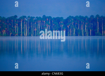 Lac Sandoval dans la zone réservée, Tambopata Rainforest péruvien, l'Amérique du Sud Banque D'Images