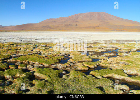 Bolivie - les plus belles Andes de l'Amérique du Sud. Banque D'Images