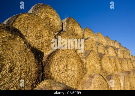 Strawbales empilés, les Cotswolds, Oxfordshire, Royaume-Uni Banque D'Images