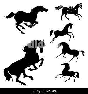 Vector set des chevaux sur fond blanc Banque D'Images