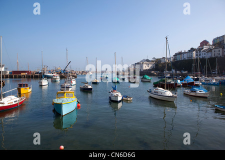 Port de Brixham, Devon, UK Banque D'Images