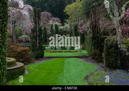 Filoli jardins dans la pluie, le comté de San Mateo, Californie Banque D'Images