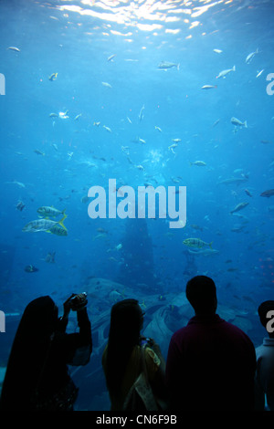 Les gens qui regardent l'énorme aquarium à l'Atlantis (le Palm) hôtel à Dubaï avec des tonnes de la vie marine Banque D'Images
