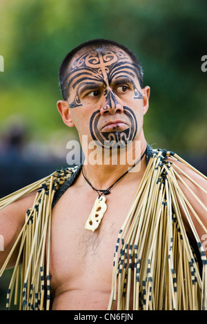 Tatouages traditionnels sur la face du guerrier Maori Banque D'Images